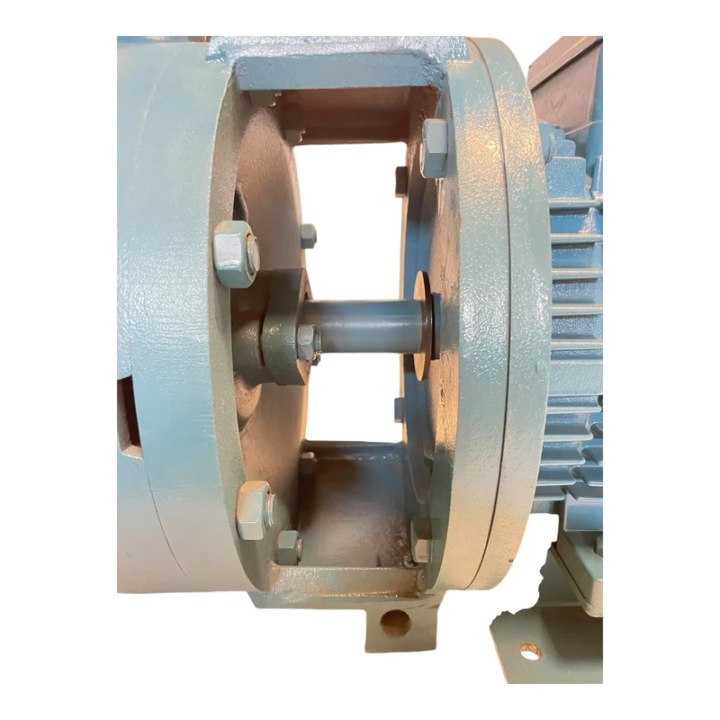 Calpeda NM50/DE-60 Wasserpumpe 15kW für industriellen Einsatz Wasserpumpe