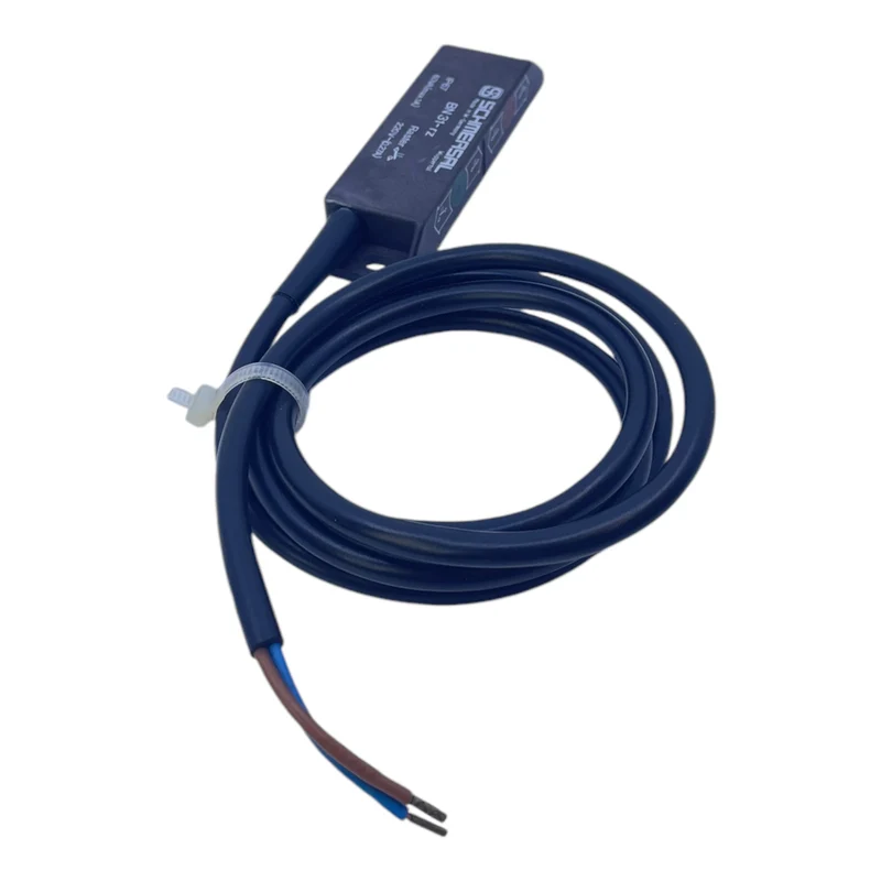 Schmersal BN31-rz Magnetschalter Schmersal BN31-rz Magnetschalter Schmersal BN31