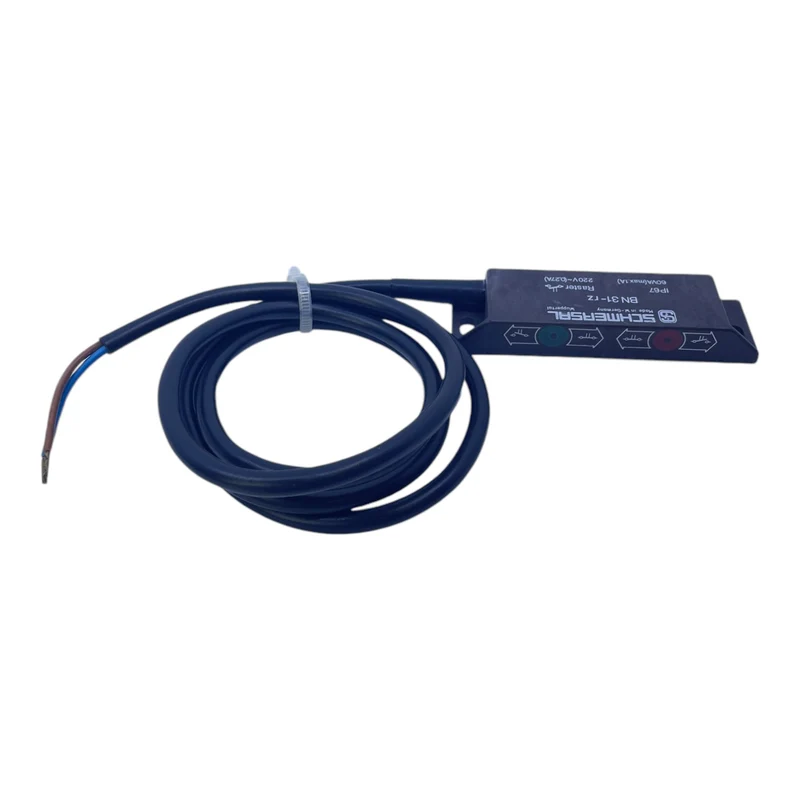 Schmersal BN31-rz Magnetschalter Schmersal BN31-rz Magnetschalter Schmersal BN31