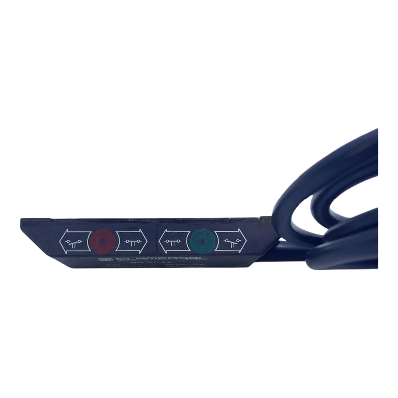 Schmersal BN31-rz Magnetschalter Schmersal BN31-rz Magnetschalter Schmersal BN31
