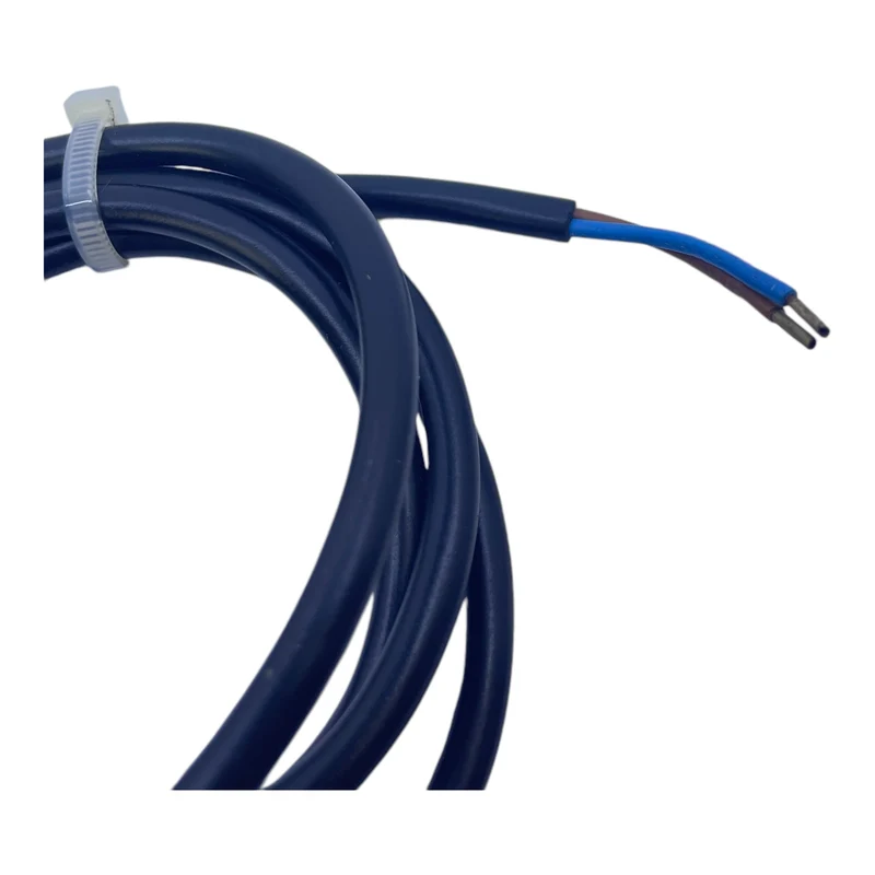 Schmersal BN31-rz Magnetschalter Schmersal BN31-rz Magnetschalter Schmersal BN31