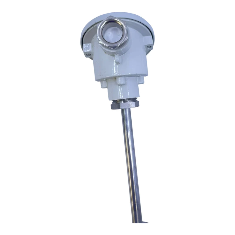 Gestra Temperaturfühler TRG5-53 L=250 | Temperaturfühler von Gestra Industrie