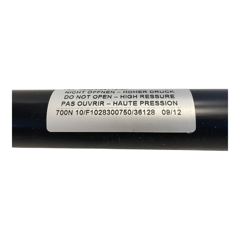 EWB Gasfeder 700N F1028300750/36128 Gasdruckfeder für den Industriellen Nutzen
