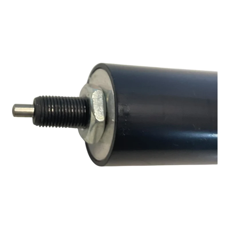 EWB Gasfeder 700N F1028300750/36128 Gasdruckfeder für den Industriellen Nutzen