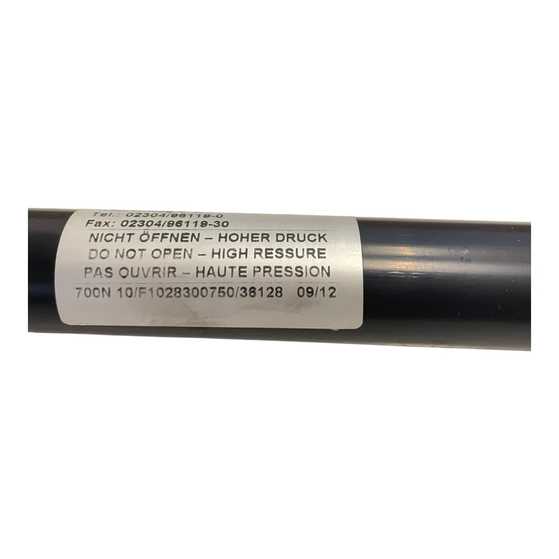 EWB Gasfeder 700N F1028300750/36128 Gasdruckfeder für den Industriellen Nutzen