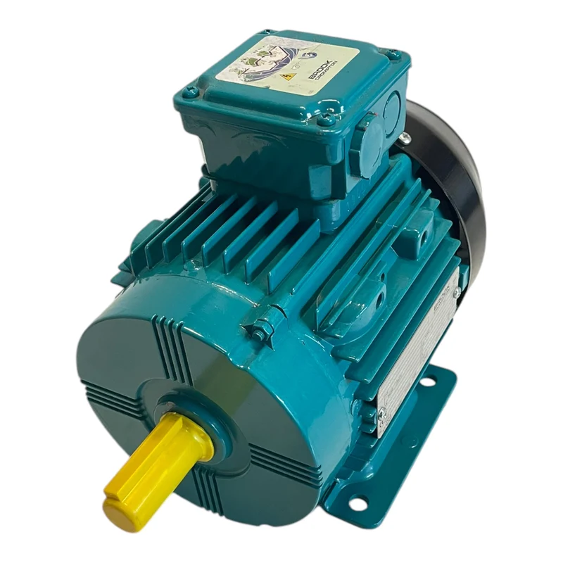 Brook Crompton WU-DA80MG Elektromotor 0,75kW Ø 19mm für Industriellen Einsatz