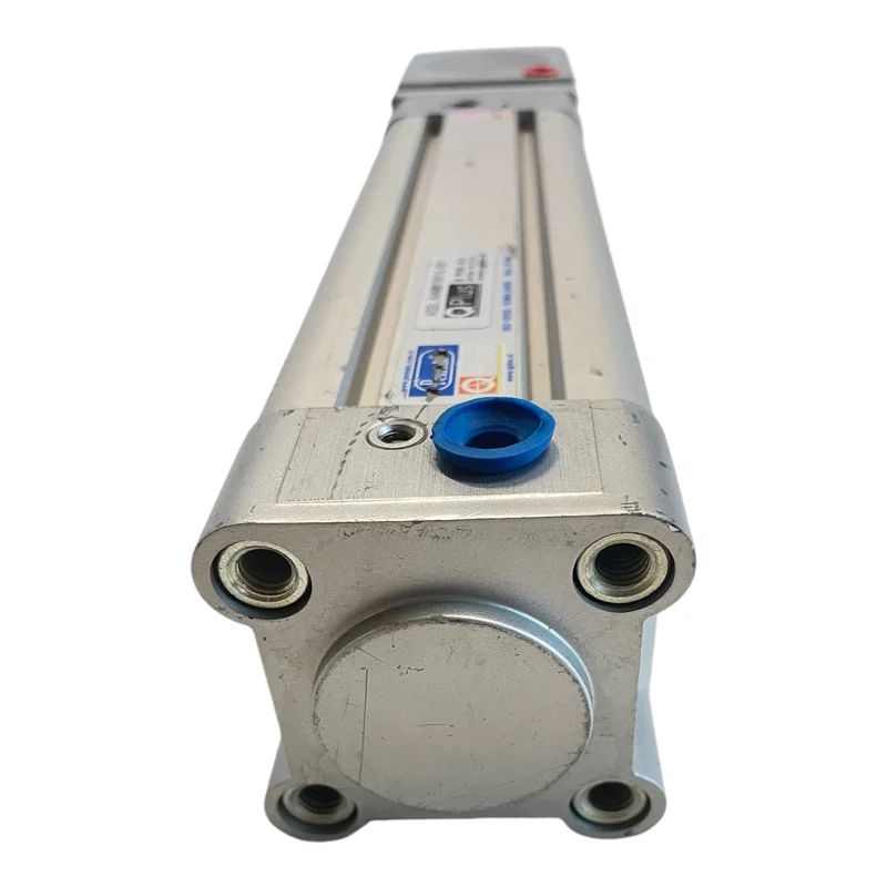 Pemaks ASS.AA001014/01 Pneumatikzylinder 10 bar für industriellen Einsatz