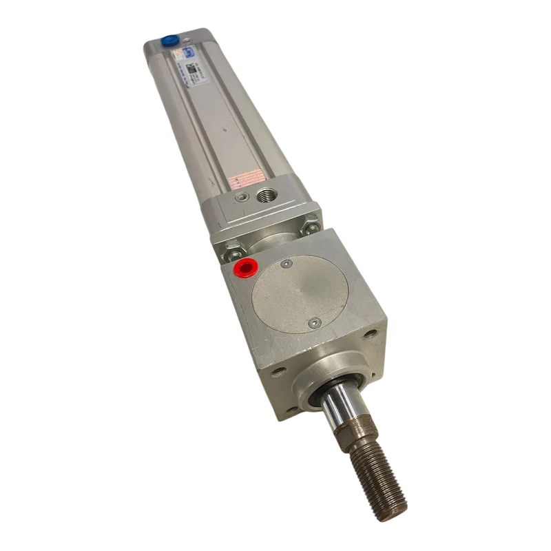 Pemaks ASS.AA001014/01 Pneumatikzylinder 10 bar für industriellen Einsatz