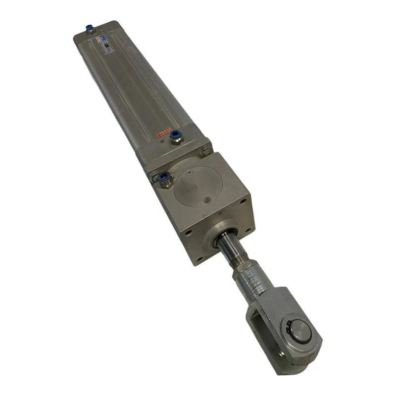 Pemaks ASS.AA001014/03 Pneumatikzylinder 10 bar für industriellen Einsatz