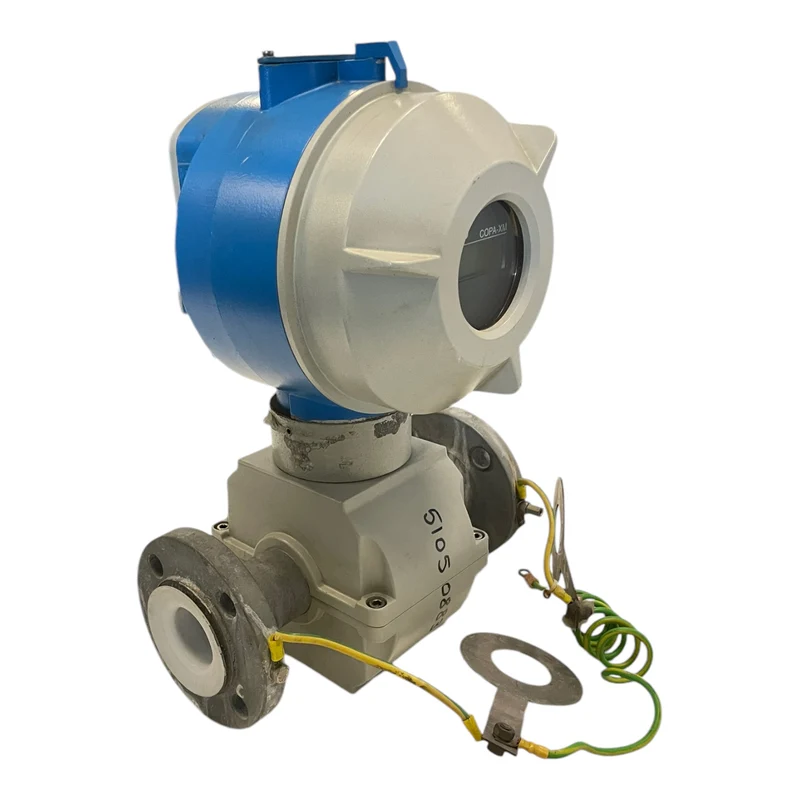 Bailey Fischer Porter 10DX3311 Durchflussmesser für industriellen Einsatz Sensor