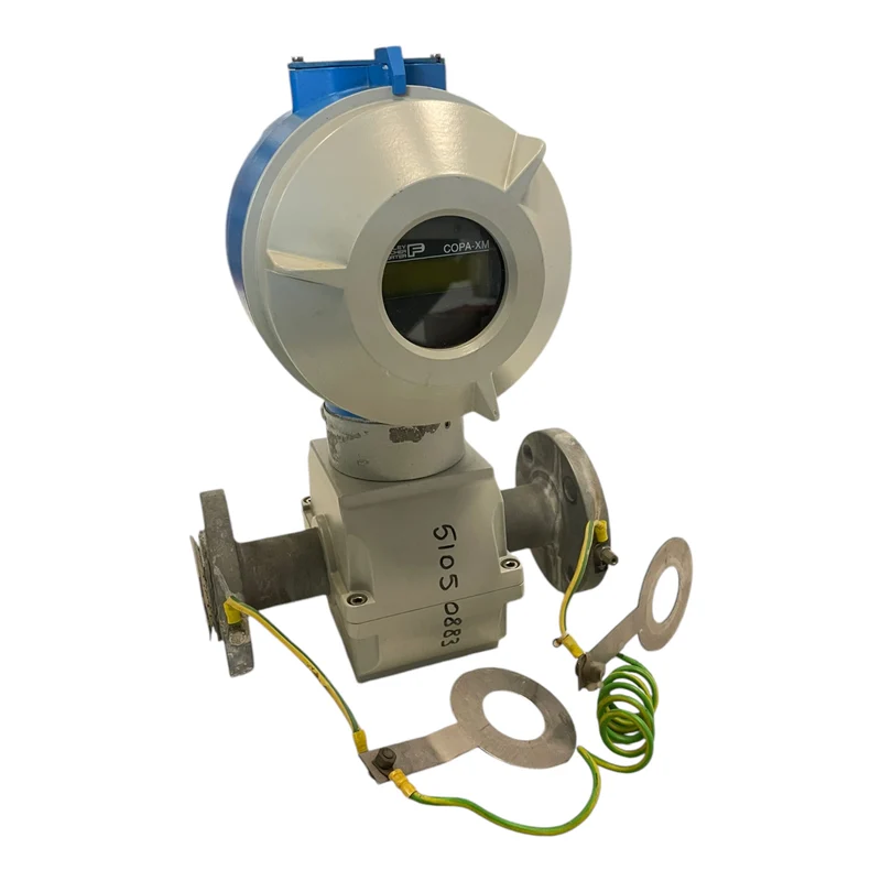 Bailey Fischer Porter 10DX3311 Durchflussmesser für industriellen Einsatz Sensor