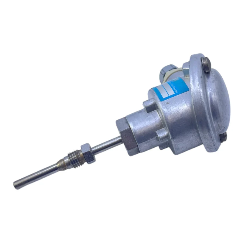 Dittmer 2xPT100 Temperatursensor für industriellen Einsatz Dittmer 2xPT100