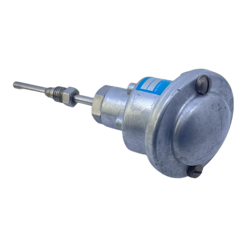 Dittmer 2xPT100 Temperatursensor für industriellen Einsatz Dittmer 2xPT100