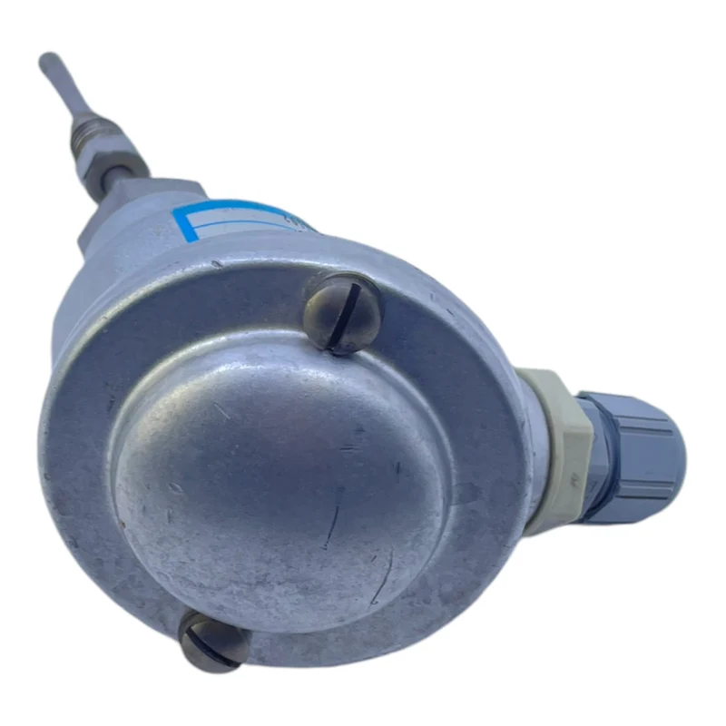 Dittmer 2xPT100 Temperatursensor für industriellen Einsatz Dittmer 2xPT100