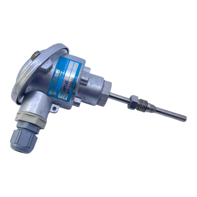 Dittmer 2xPT100 Temperatursensor für industriellen Einsatz Dittmer 2xPT100