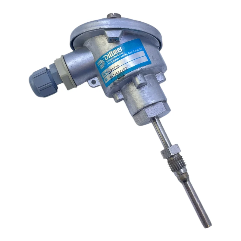 Dittmer 2xPT100 Temperatursensor für industriellen Einsatz Dittmer 2xPT100