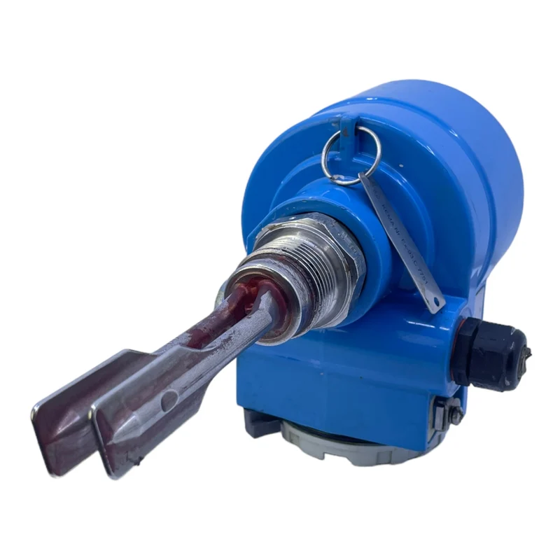 Endress+Hauser Liquiphant II FTL365-EGR2A2J Füllstandsgrenzschalter Sensor