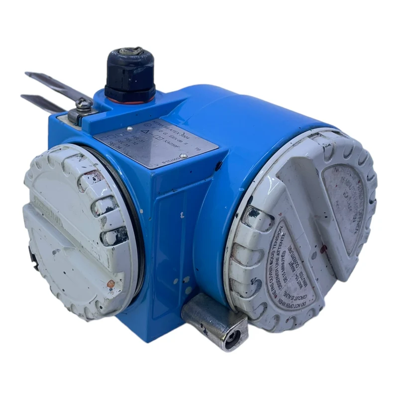 Endress+Hauser Liquiphant II FTL365-EGR2A2J Füllstandsgrenzschalter Sensor