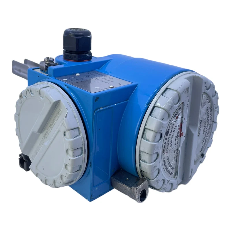 Endress+Hauser Liquiphant II FTL365-EGR2A2J Füllstandgrenzschalter Sensor