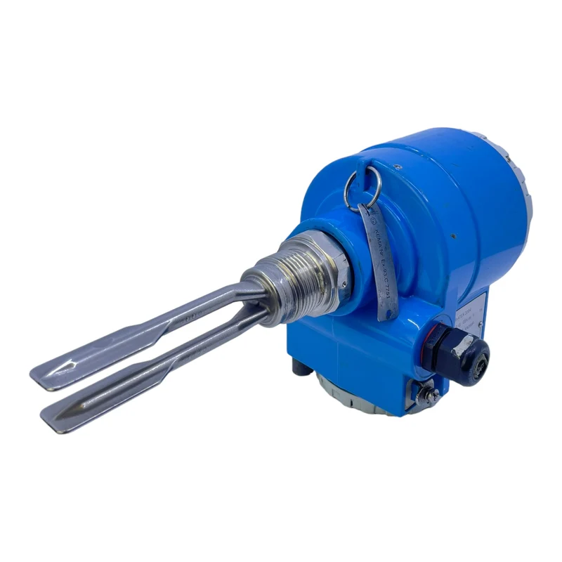 Endress+Hauser Liquiphant II FTL365-EGR2A2J Füllstandgrenzschalter Sensor