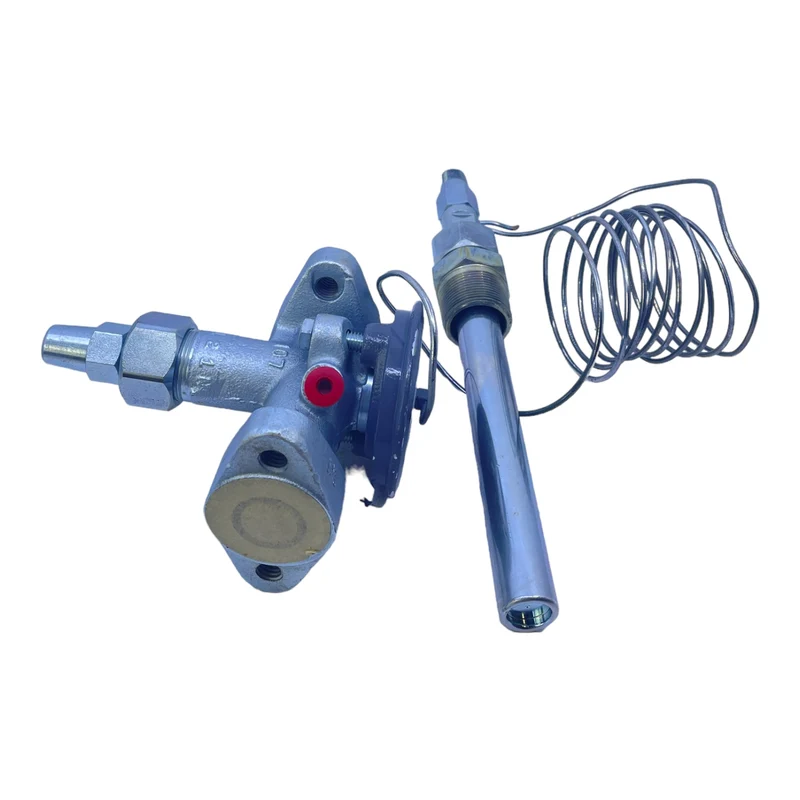 Parker AAE30 Temperaturmesser für industriellen Einsatz Parker AAE30 Temp.Messer