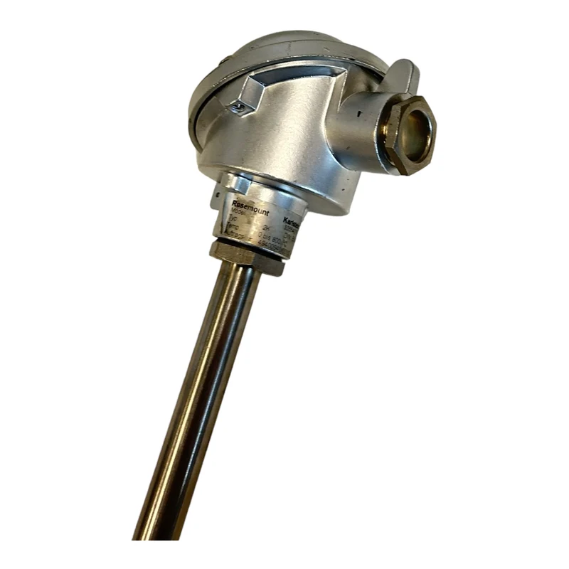 Rosemount 33554019 Thermostat für industriellen Einsatz 33554019 Thermostat