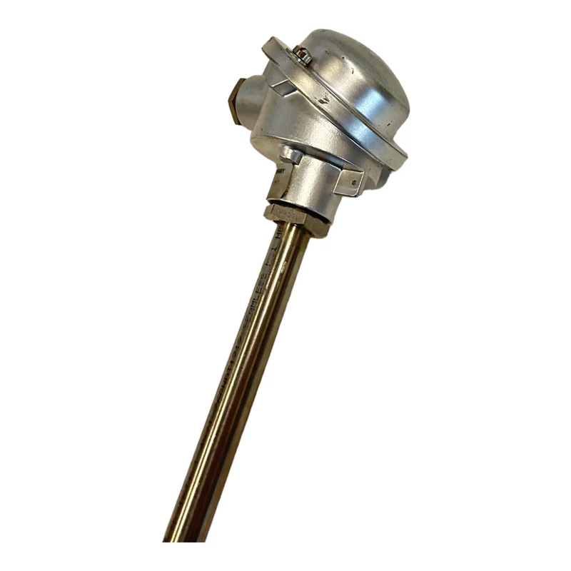 Rosemount 33554019 Thermostat für industriellen Einsatz 33554019 Thermostat