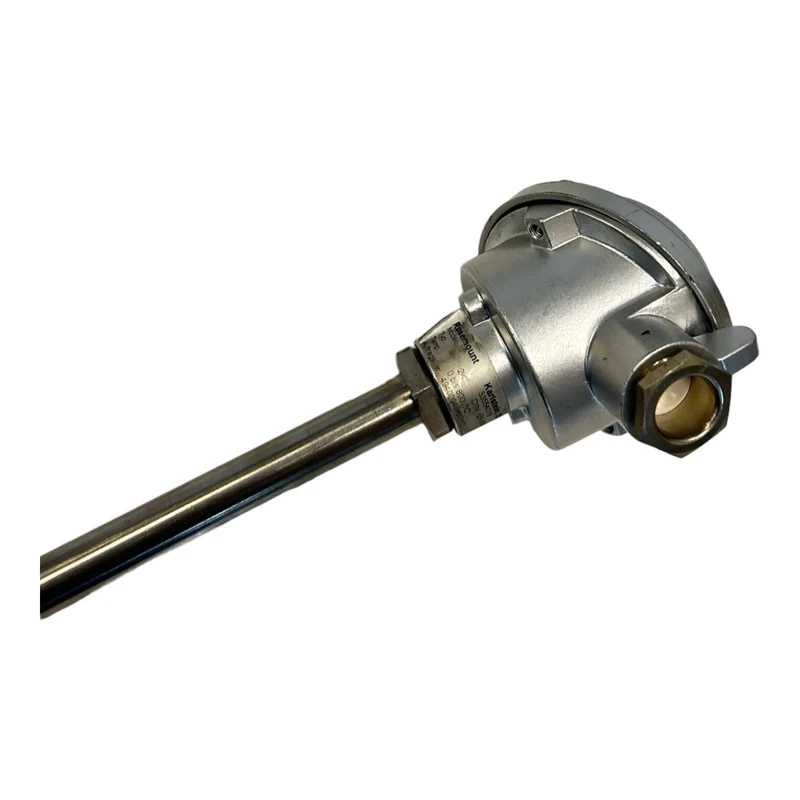 Rosemount 33554019 Thermostat für industriellen Einsatz 33554019 Thermostat