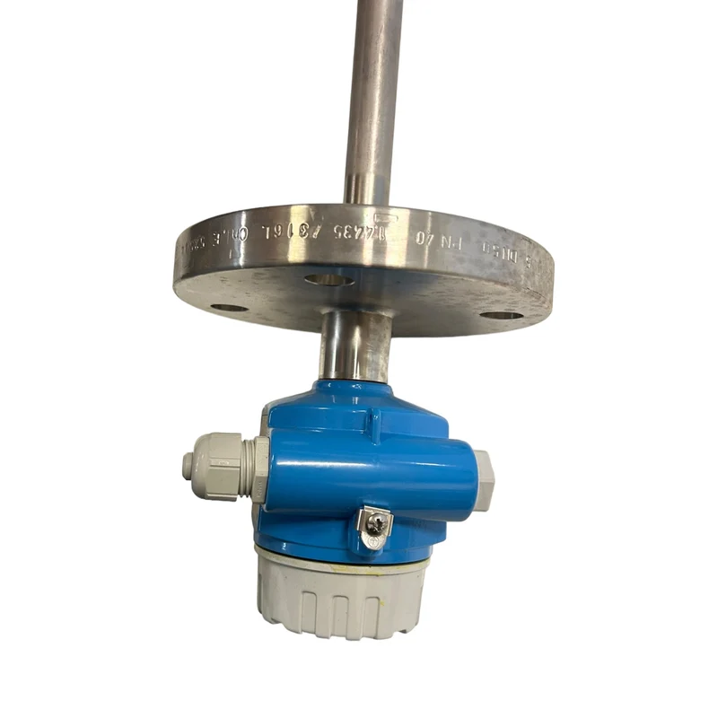 Endress+Hauser Liquiphant M Füllstandgrenzschalter FTL51-DBG2BB2G5A Liquiphant M