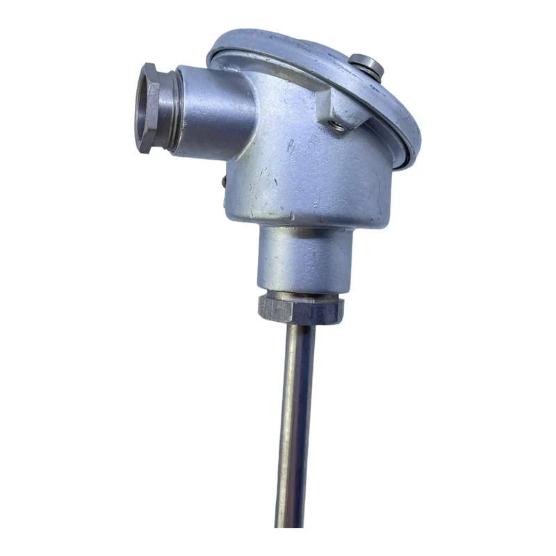 Widerstandsthermometer für industriellen Einsatz 500C 8100 2PT100 Thermometer