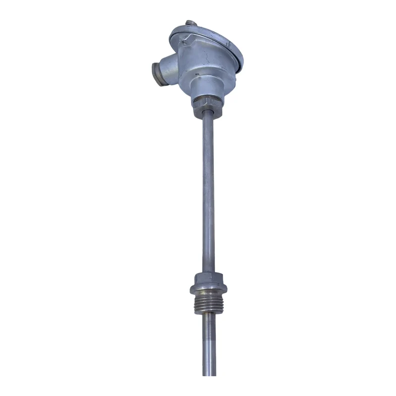 Widerstandsthermometer für industriellen Einsatz 500C 8100 2PT100 Thermometer