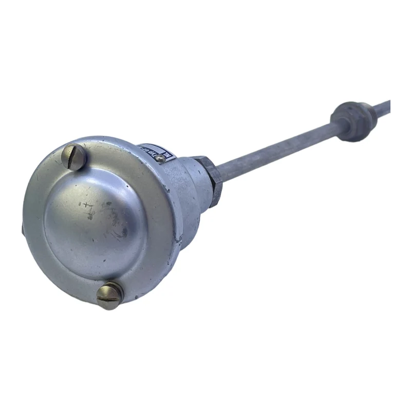 Widerstandsthermometer für industriellen Einsatz 500C 8100 2PT100 Thermometer