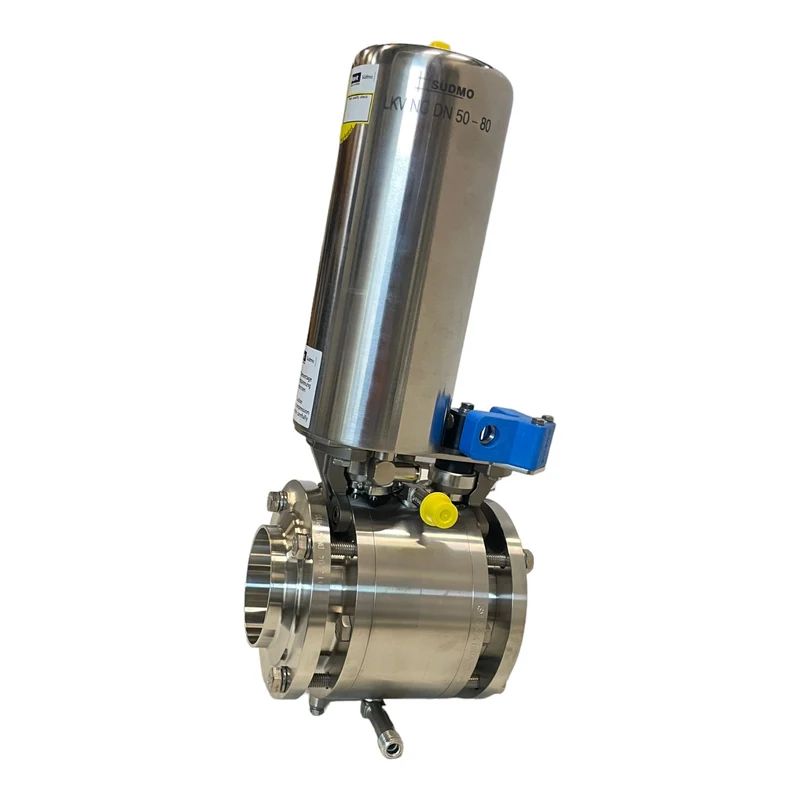Norit S0001281 DN65/PN10 Stellventil für industriellen Einsatz DN65 PN10 Ventil