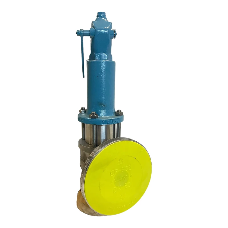 Pentair VSR5.40-25B50-I-56-123 Ventil für industriellen Einsatz Pentair