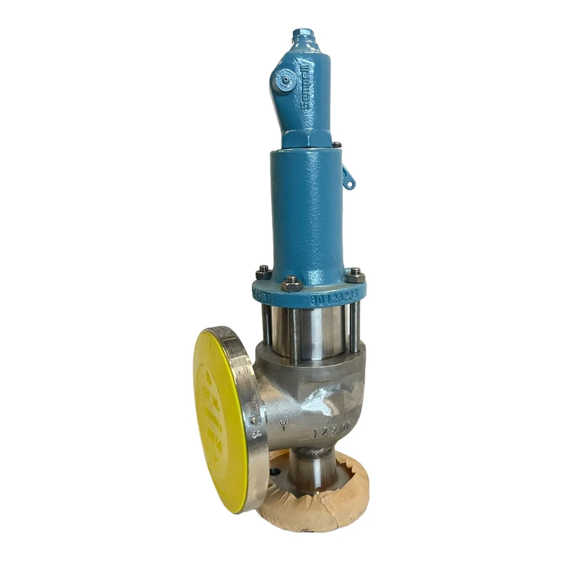 Pentair VSR5.40-25B50-I-56-123 Ventil für industriellen Einsatz Pentair