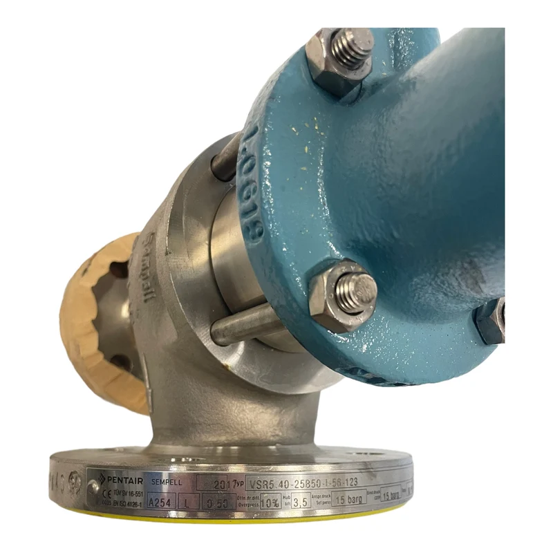 Pentair VSR5.40-25B50-I-56-123 Ventil für industriellen Einsatz Pentair