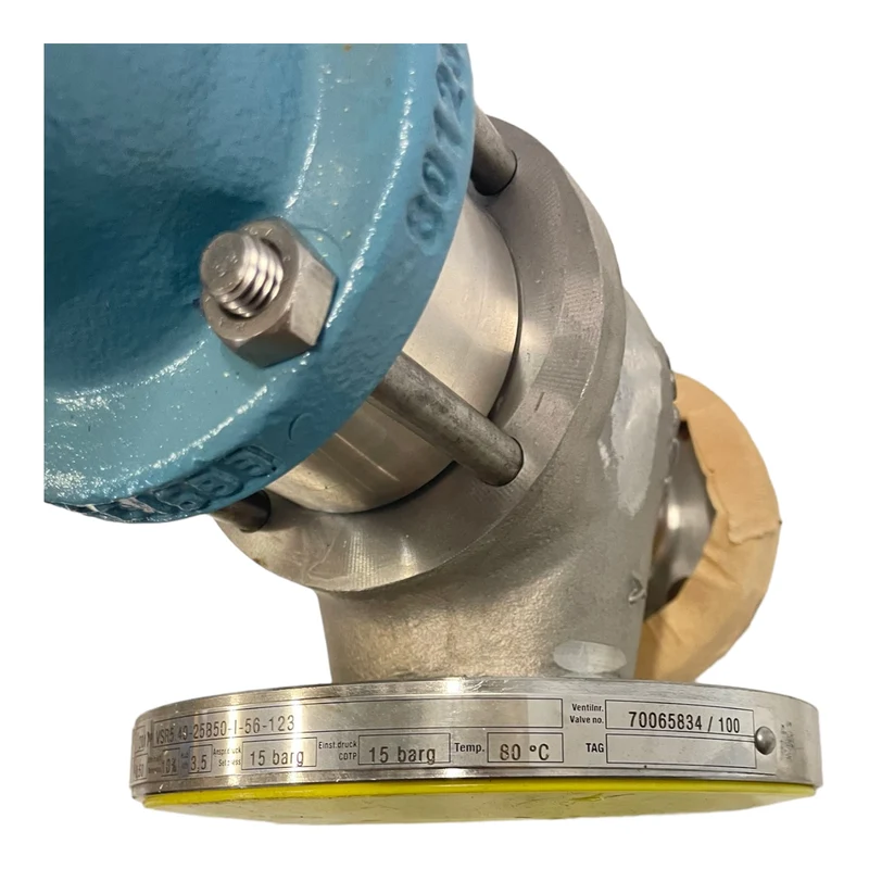 Pentair VSR5.40-25B50-I-56-123 Ventil für industriellen Einsatz Pentair