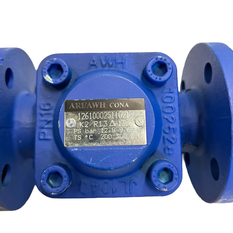 ARI Armaturen K2/R13 Ventil für industriellen Einsatz 13 bar 200-300C PN16 DN25