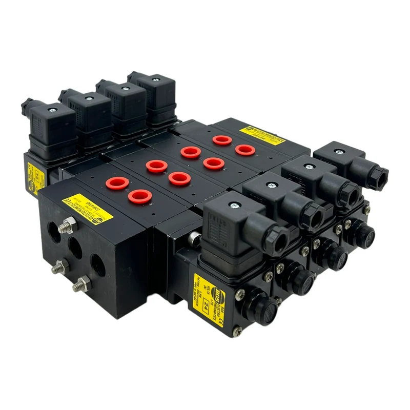 RGS E2591GP04B Ventileinheit Magnetventile für industriellen Einsatz 24V DC