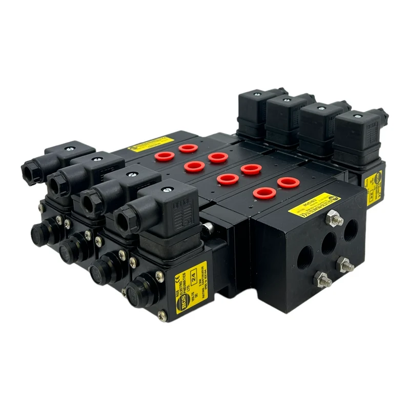 RGS E2591GP04B Ventileinheit Magnetventile für industriellen Einsatz 24V DC