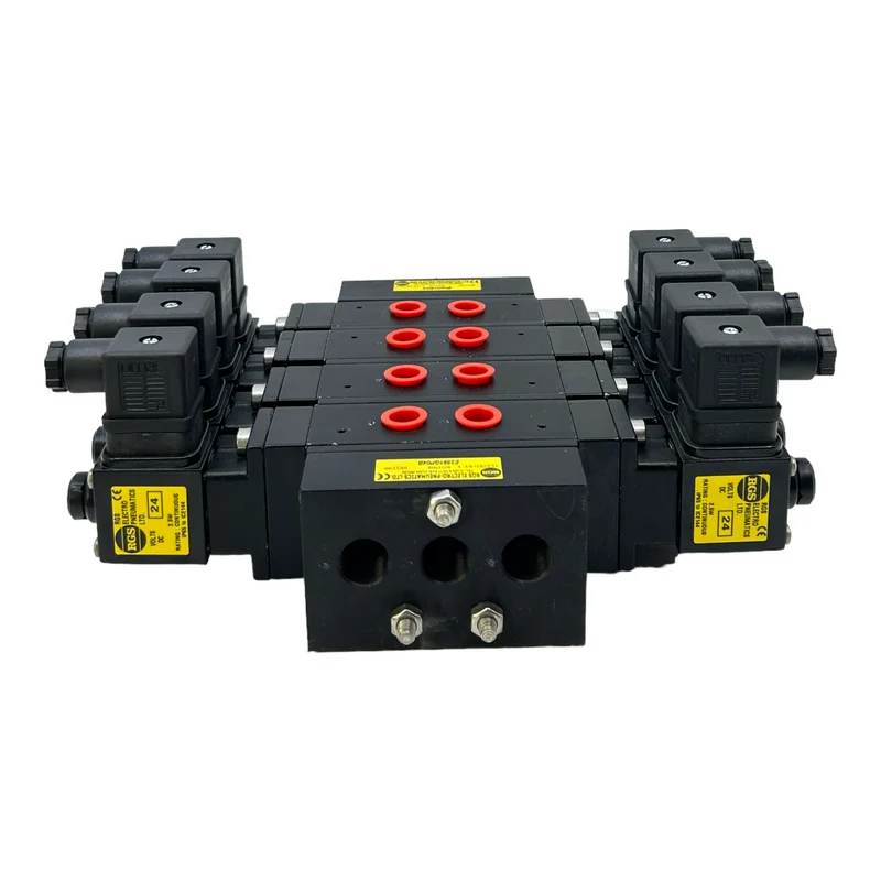 RGS E2591GP04B Ventileinheit Magnetventile für industriellen Einsatz 24V DC