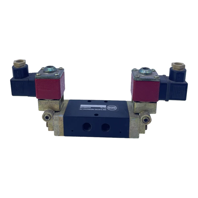 RGS EPA.2553190 Magnetventil für industriellen Einsatz 50/60Hz 220-240V Ventil