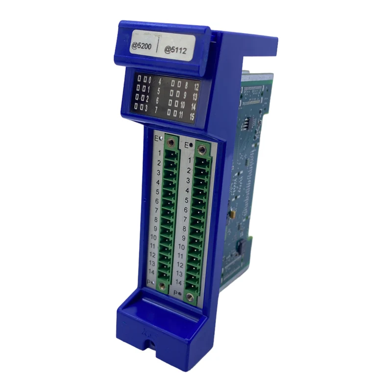 RS 01-996015_LS Platine