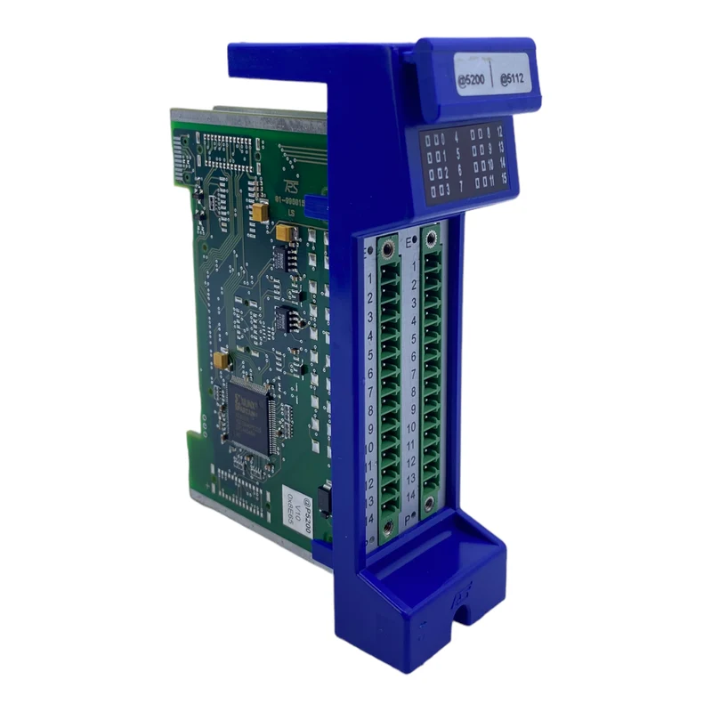 RS 01-996015_LS Platine