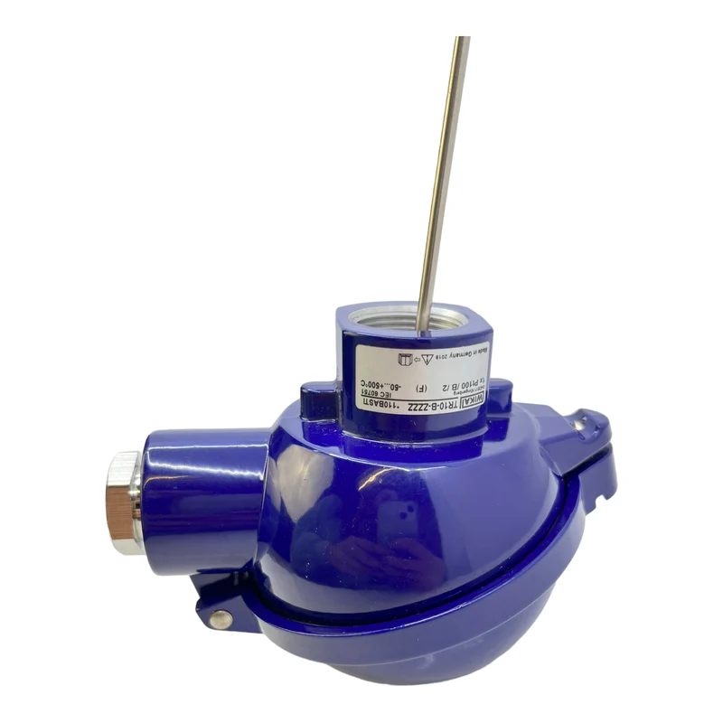 WIKA TR10-B-ZZZZ Widerstandsthermometer -50…+500°C