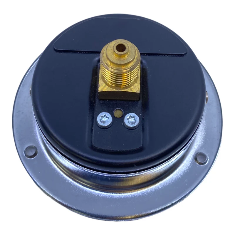 Manometer CL.1.6 0-10 bar
