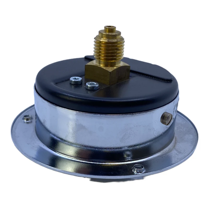 Manometer CL.1.6 0-10 bar
