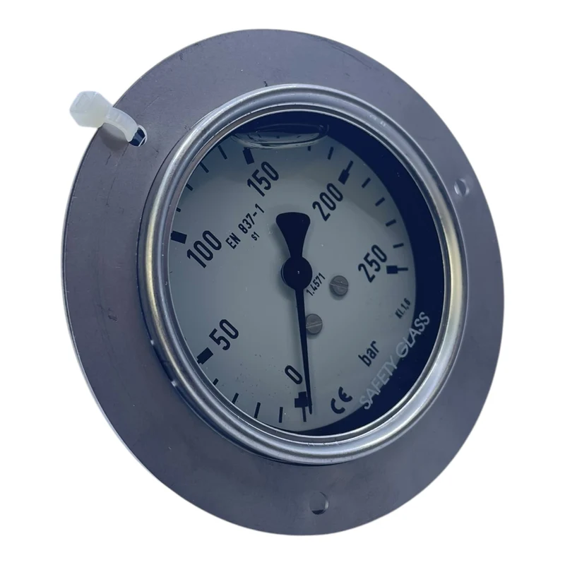 Tecsis Manometer 0-250 bar Druckmessgerät Manometer geeignet für die Industrie