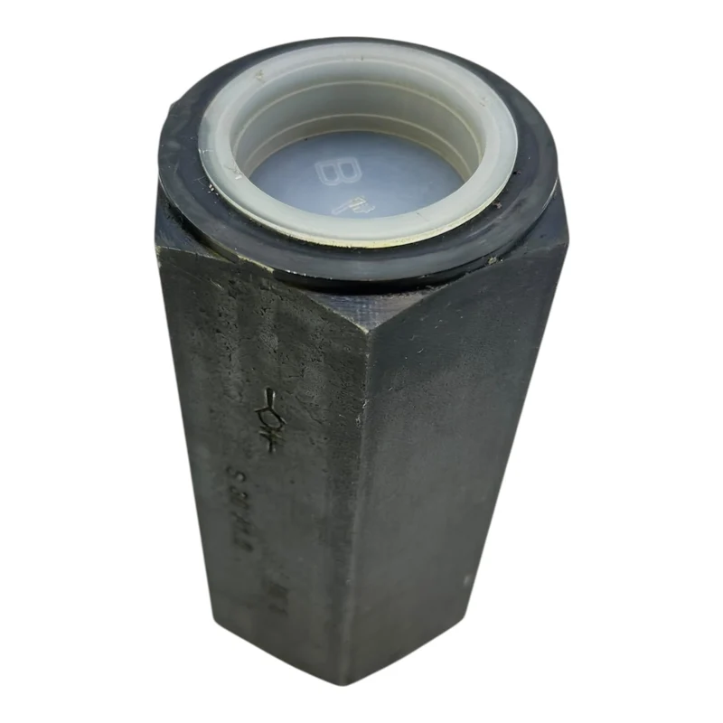 Samputensili Rückschlagventil 9073010002