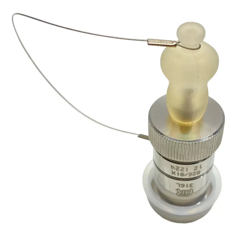 AERRE INOX s.r.l RPS-X-TC3/4-H-LUER Sicherheitsventil für industriellen Einsatz